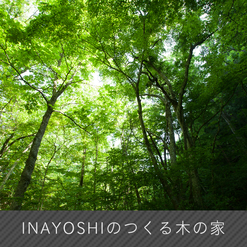稲吉のつくる木の家